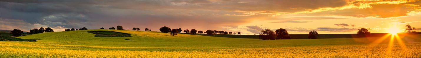 Consultation_Banner