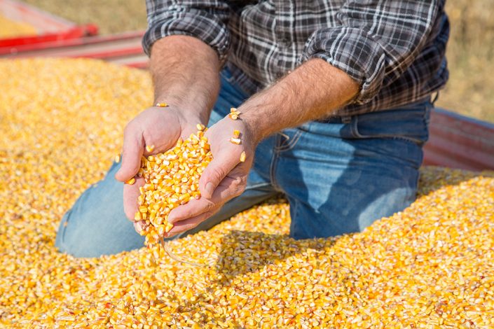 Farmers & Producers
