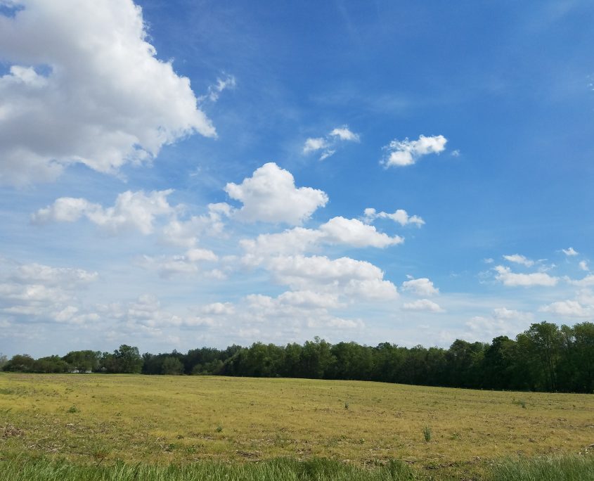 Carroll County Farm for Sale