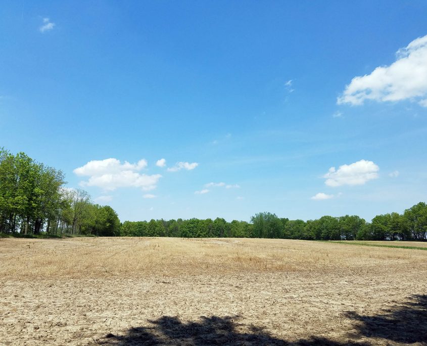 100 Acre Farm & Wooded Acres for Sale Lafayette Indiana Farm Real