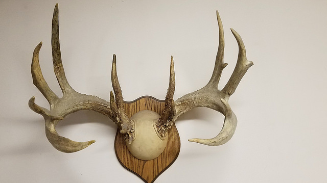 clinton county whitetail deer property for sale