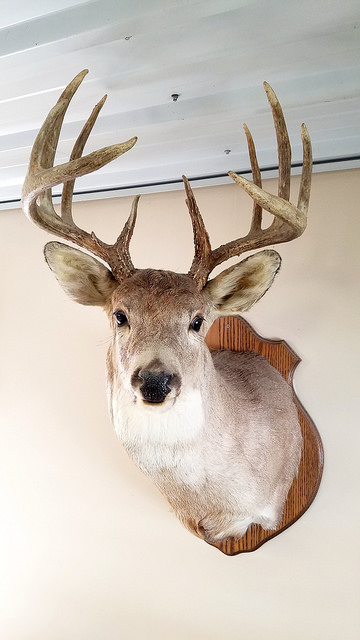 hunting property for sale Wildcat Creek Geswein Farm and Land