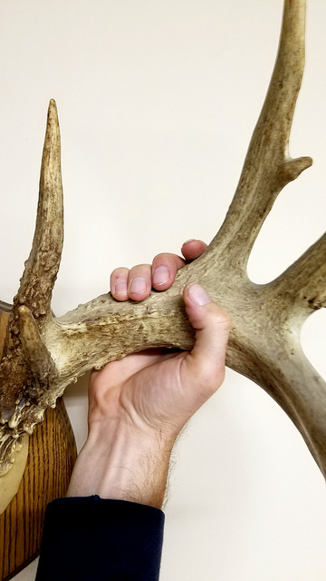 whitetail deer hunting property for sale