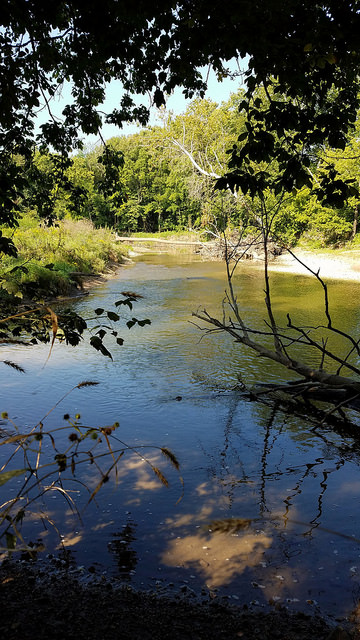 wooded property for sale wildcat creek