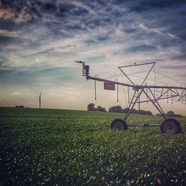 15020340189_0183d8e181_o