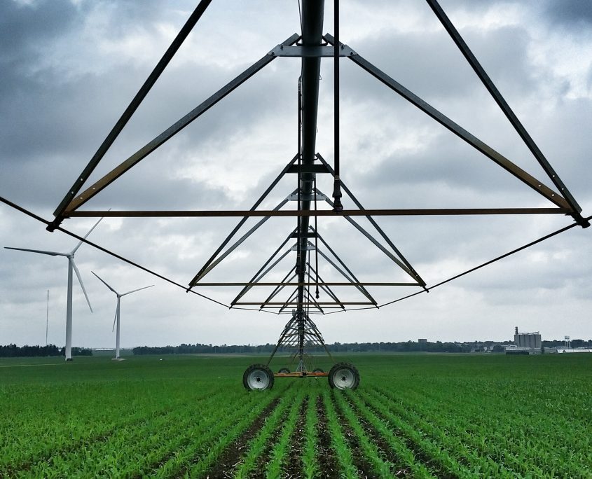 18280492885_003b39a3c9_o