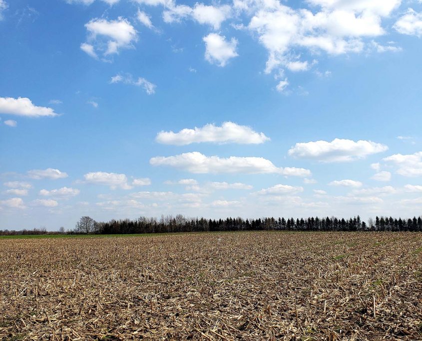 12 acres horse farm for sale west lafayette purdue