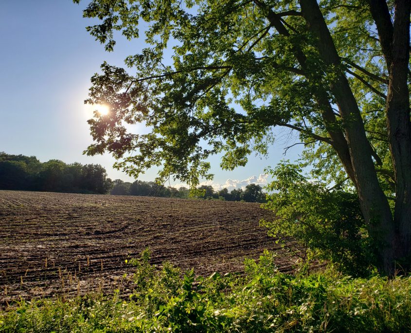building site for sale newton county creek iroquois river land