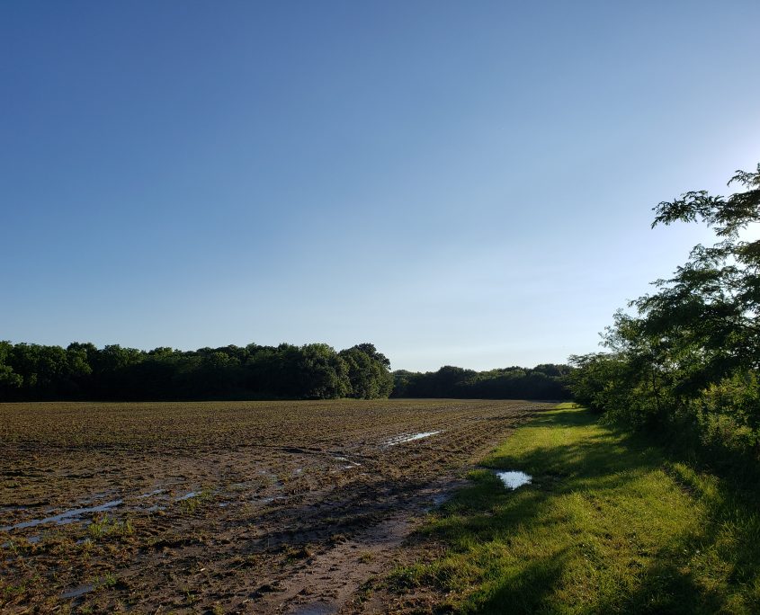 land for sale newton county