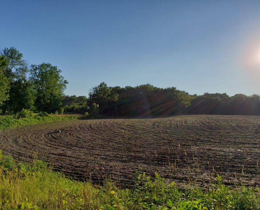 wooded land for sale newton county indiana