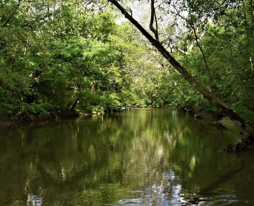 01. Deer Creek flows year round_wooded