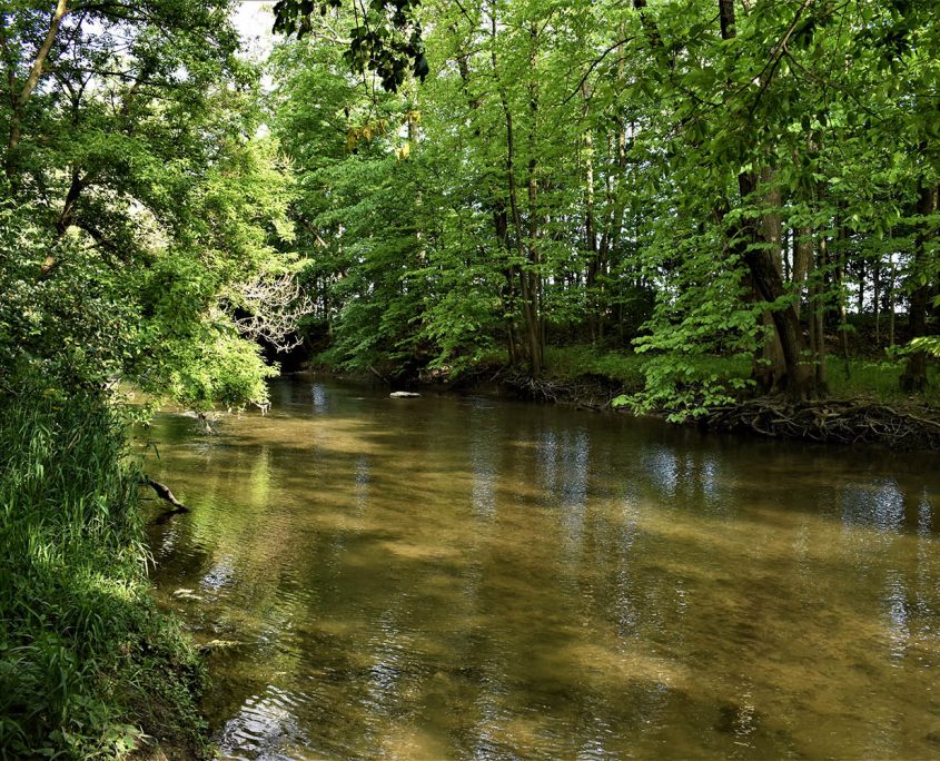 04. Great Fishing Opportunities_wooded