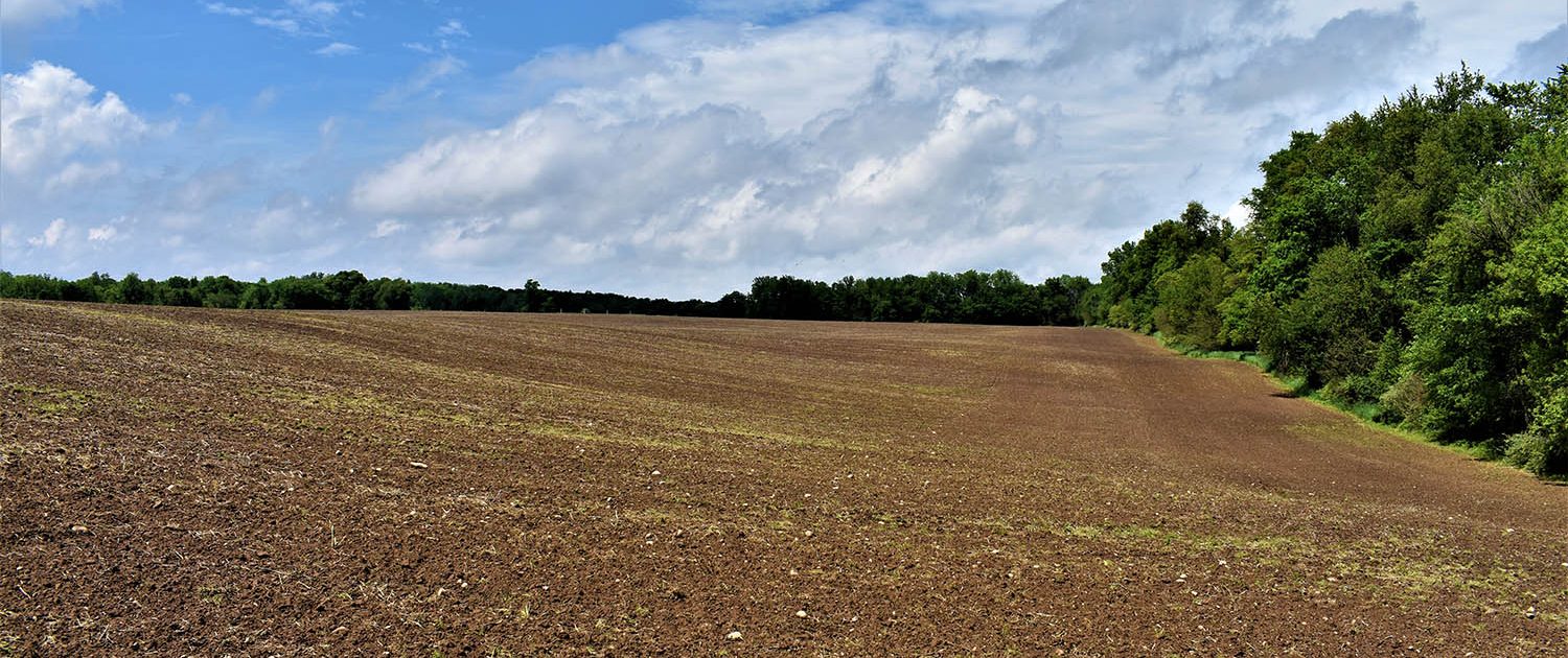 10_tillable_ag_land
