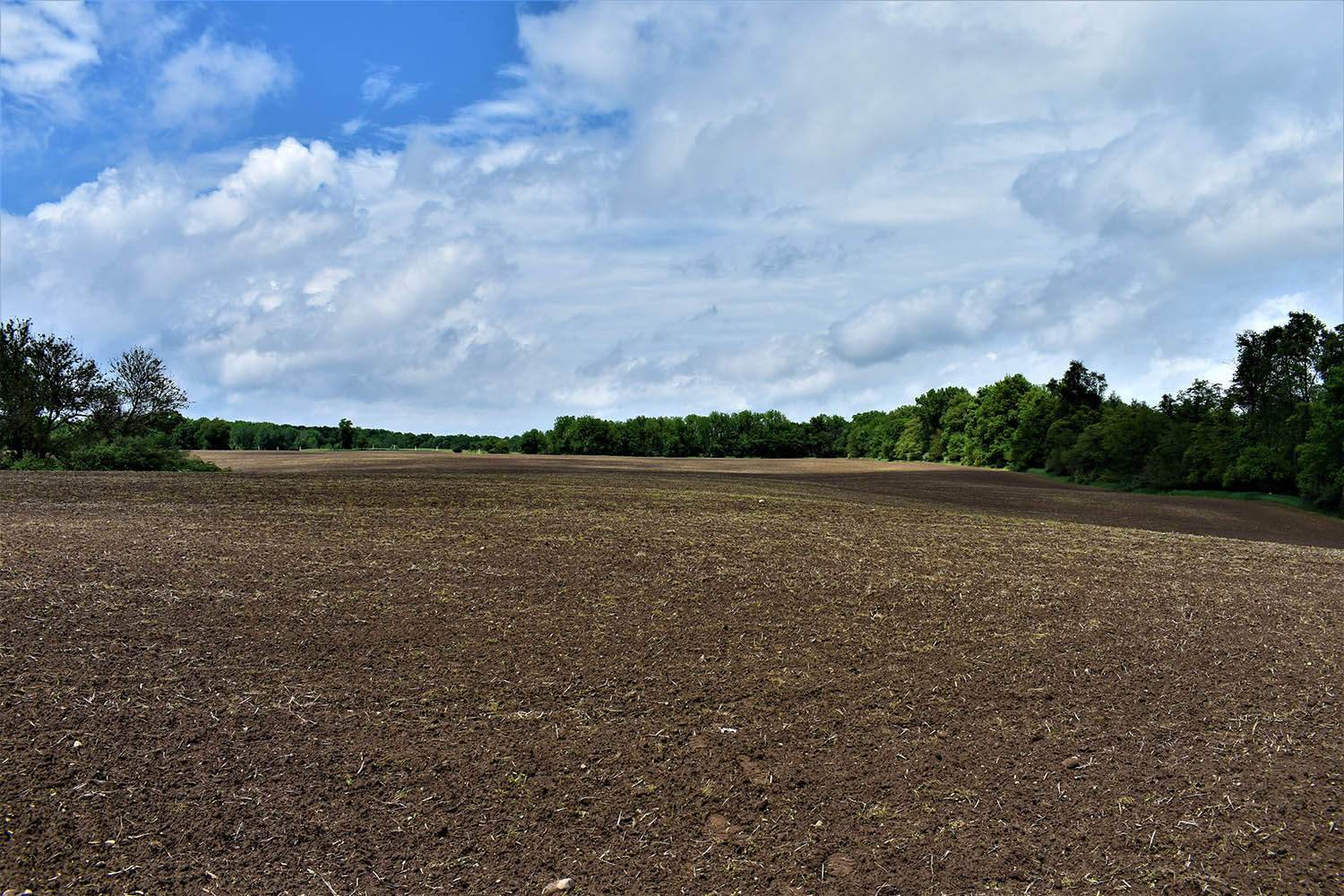 SOLD Marshall County 58.27 Acres C113 Farm Real Estate for Sale