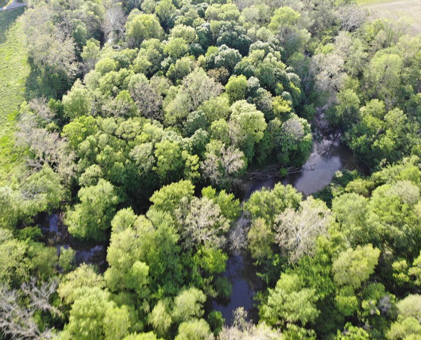 created by dji camera