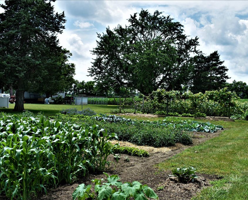 03. Large garden to grow your own food_real_estate