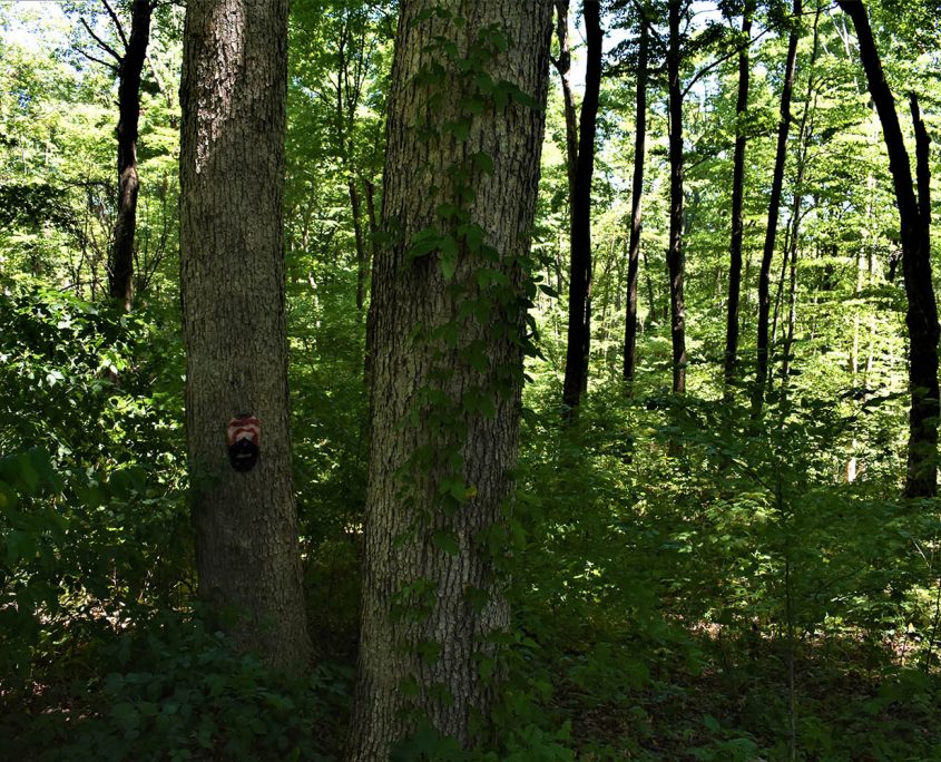 11_real_estate_land_values