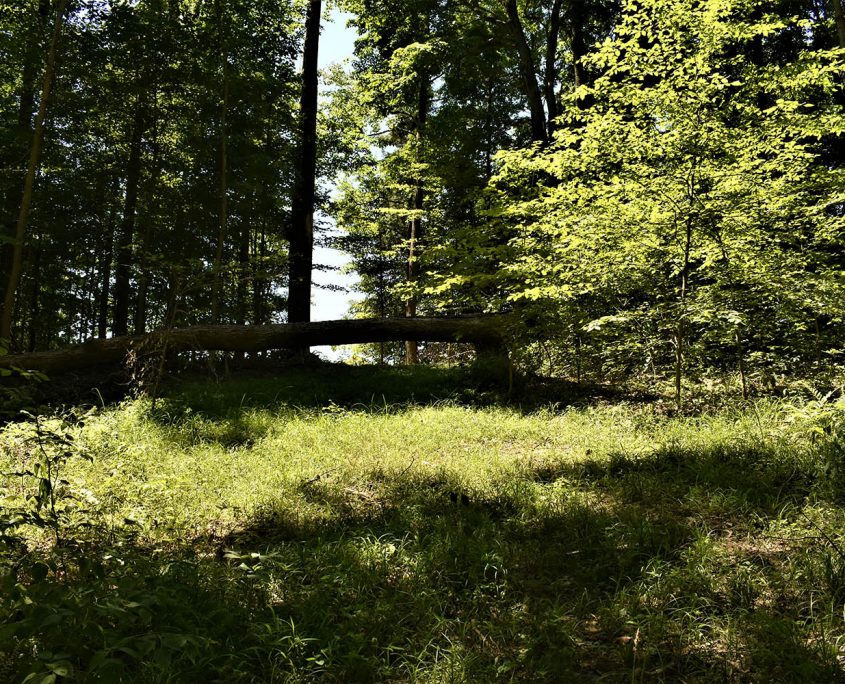 12_real_estate_land_values