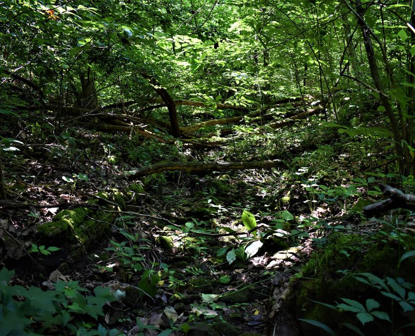 13_real_estate_land_values