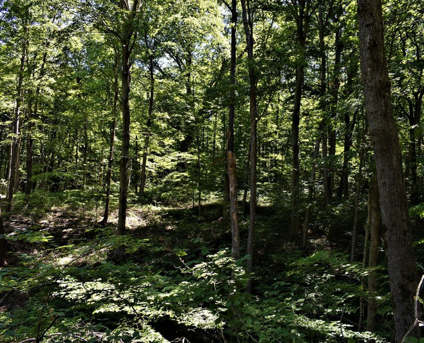 15_real_estate_land_values