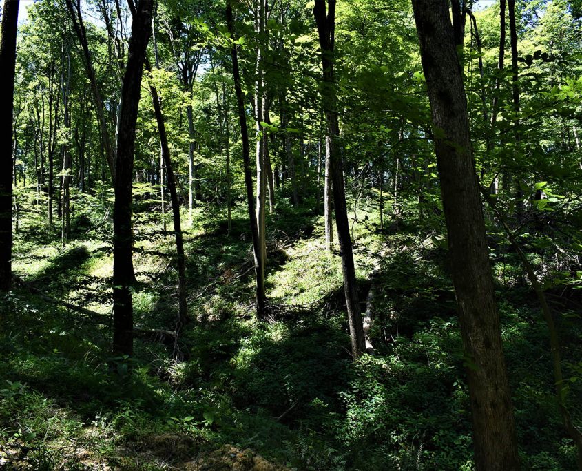 17_real_estate_land_values