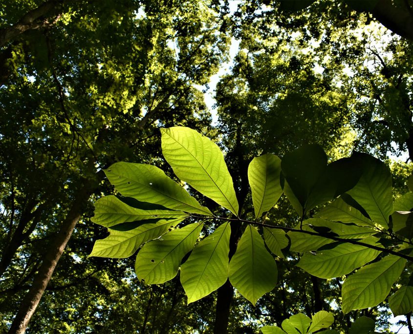 18_real_estate_land_values