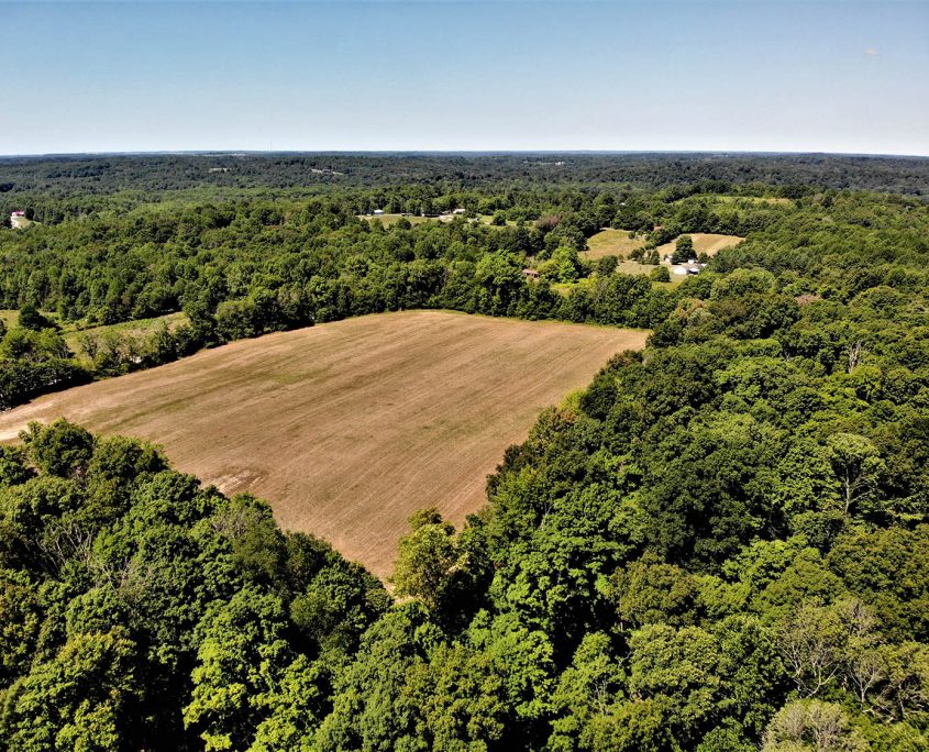 created by dji camera