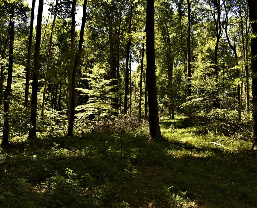 22_real_estate_land_values