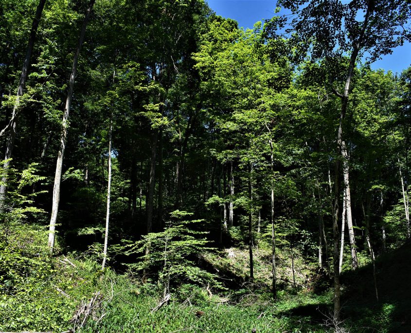 23_real_estate_land_values