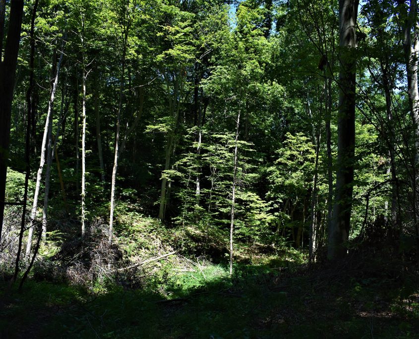 24_real_estate_land_values