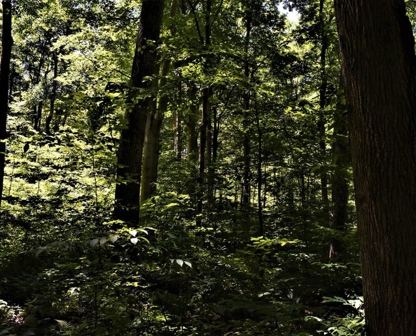 26_real_estate_land_values