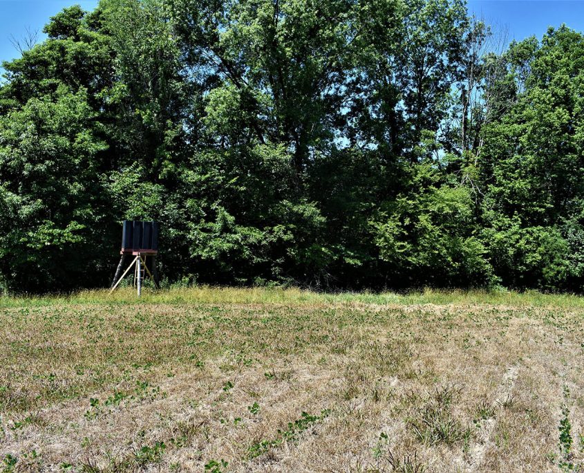 27_real_estate_land_values