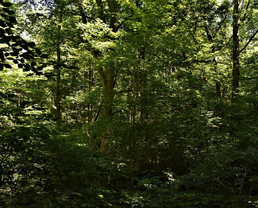 31_real_estate_land_values