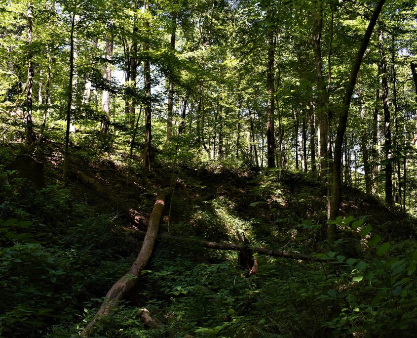 32_real_estate_land_values