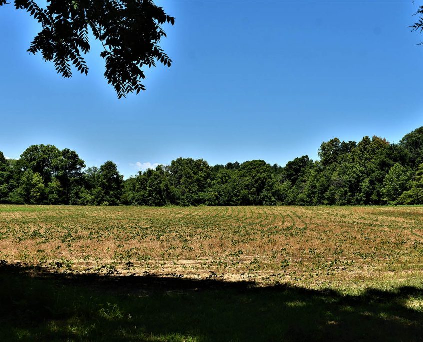 34_real_estate_land_values