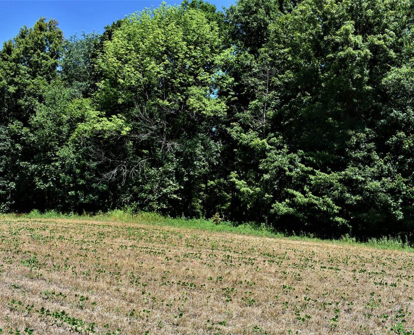 36_real_estate_land_values