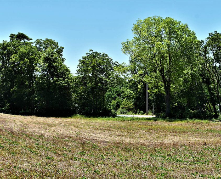 37_real_estate_land_values