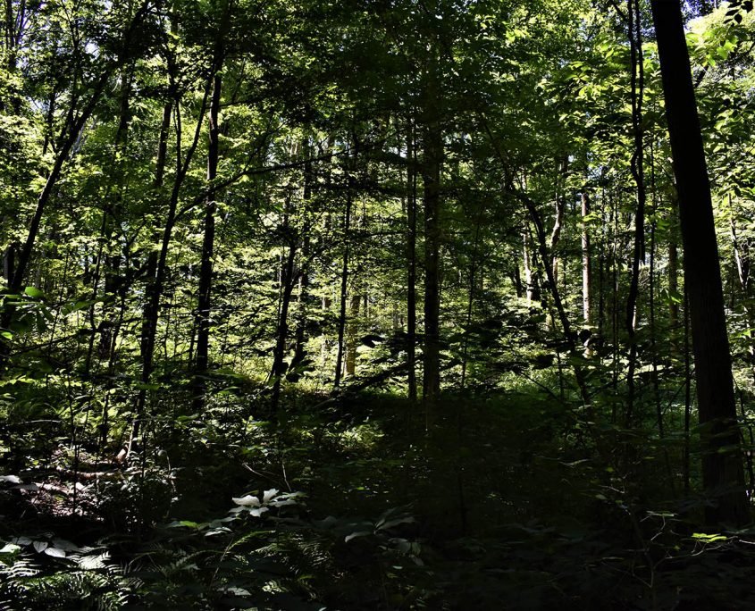 39_real_estate_land_values