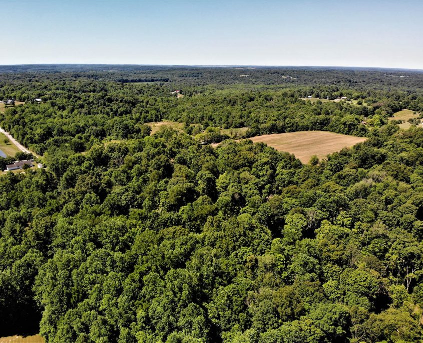 created by dji camera