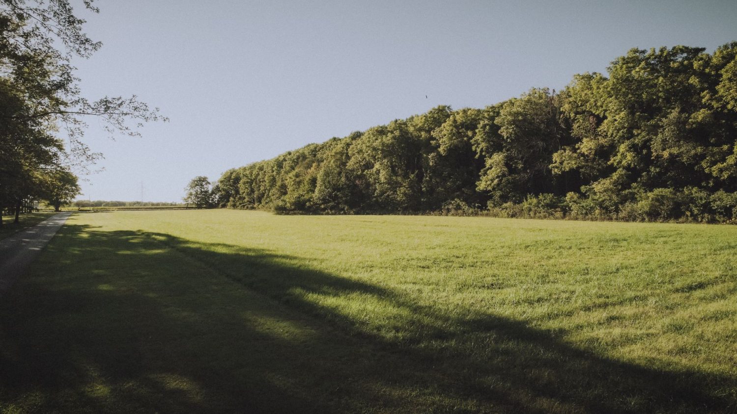 Paved Driveway SMALL