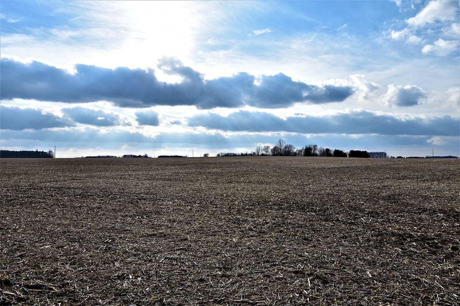 03 Productive farm in Monticello Indiana_farm_land_values