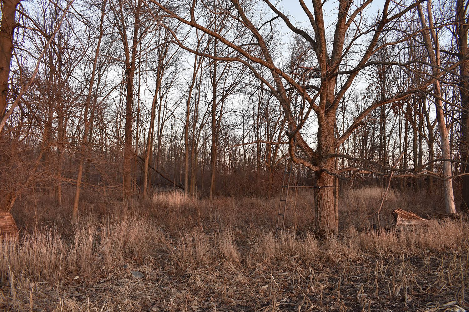 SOLD Great Farm Property With Hunting Opportunities in Blackford