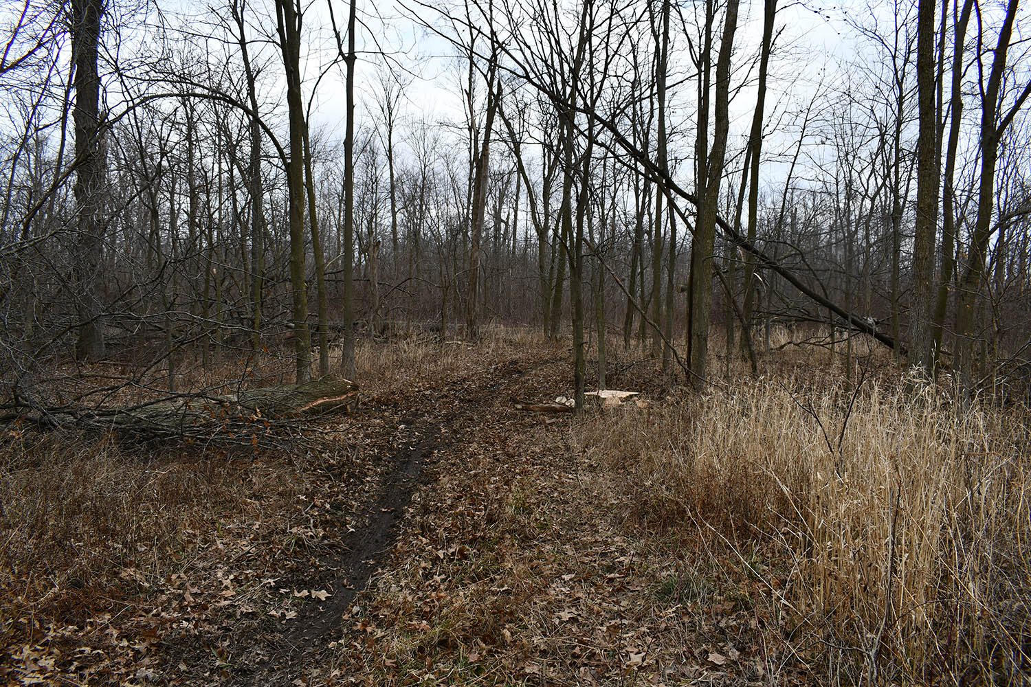 SOLD Great Farm Property With Hunting Opportunities in Blackford