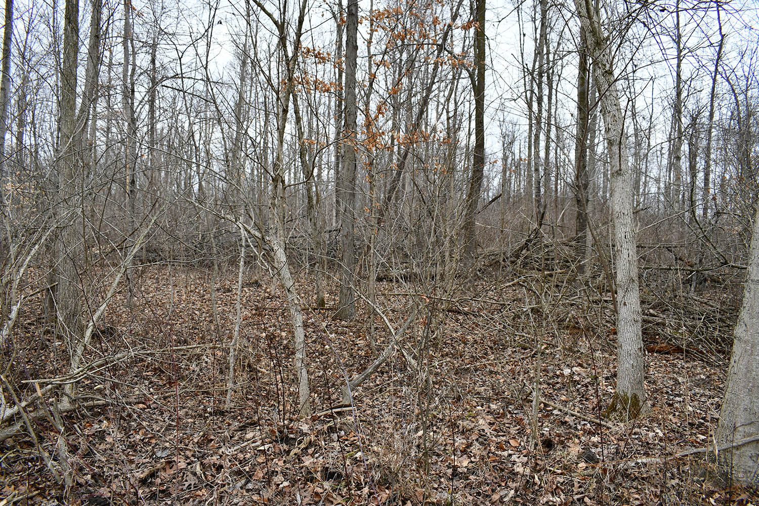 SOLD Great Farm Property With Hunting Opportunities in Blackford