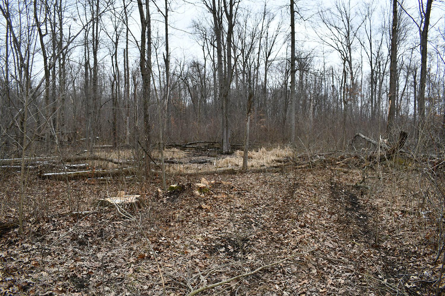 SOLD Great Farm Property With Hunting Opportunities in Blackford