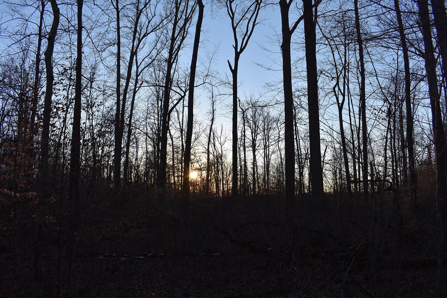 SOLD Great Farm Property With Hunting Opportunities in Blackford