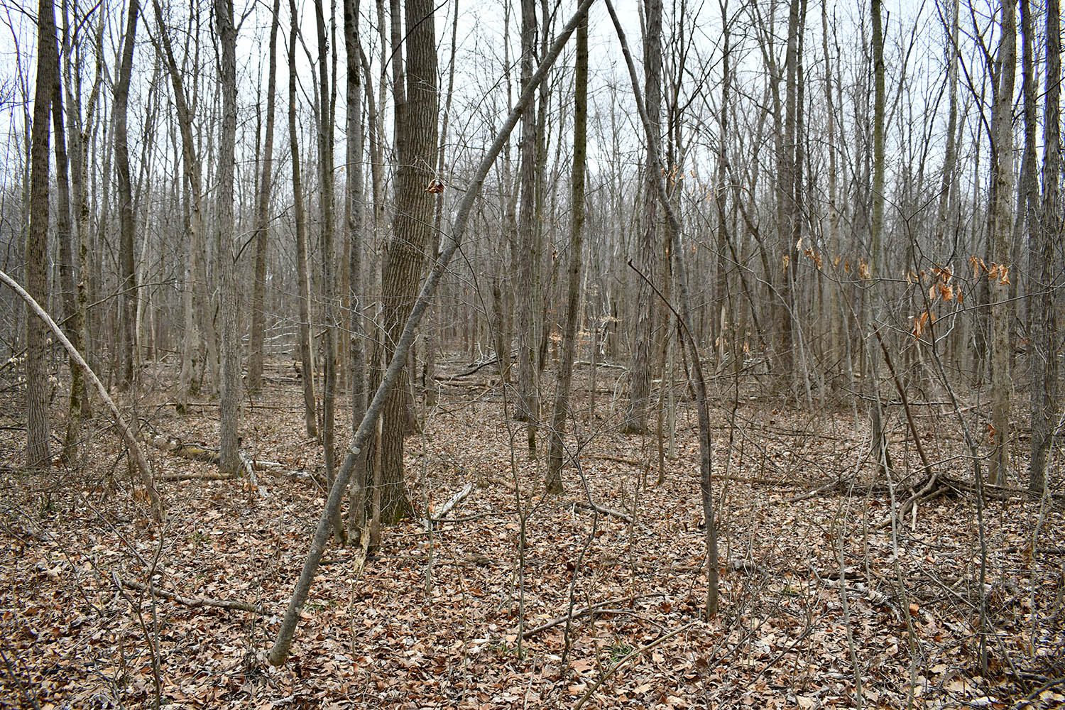 SOLD Great Farm Property With Hunting Opportunities in Blackford