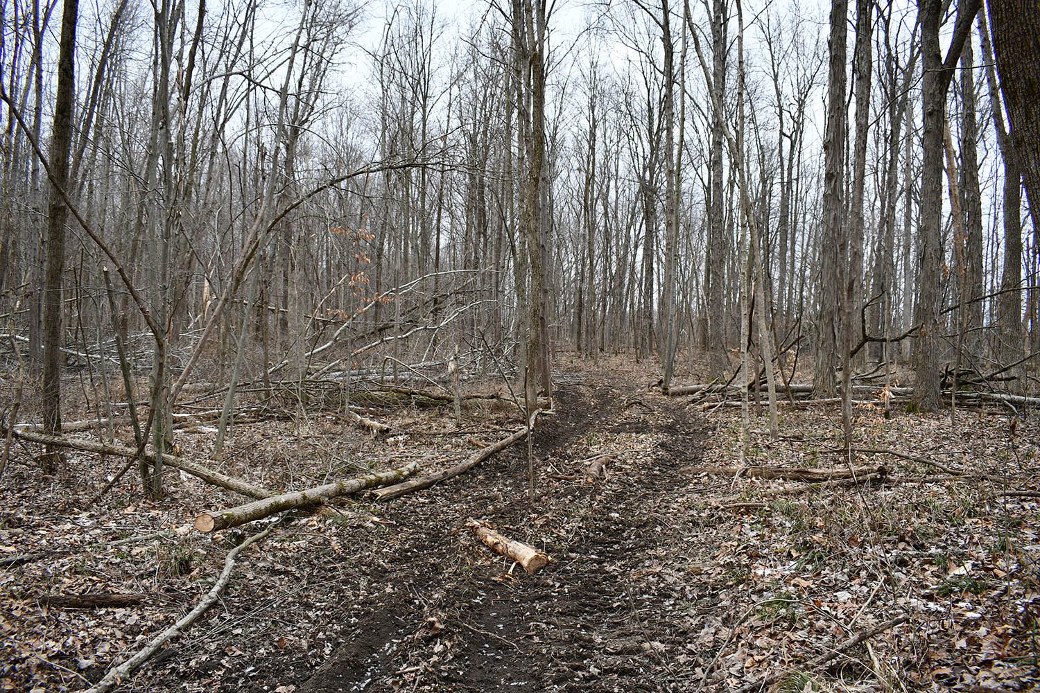 SOLD Great Farm Property With Hunting Opportunities in Blackford