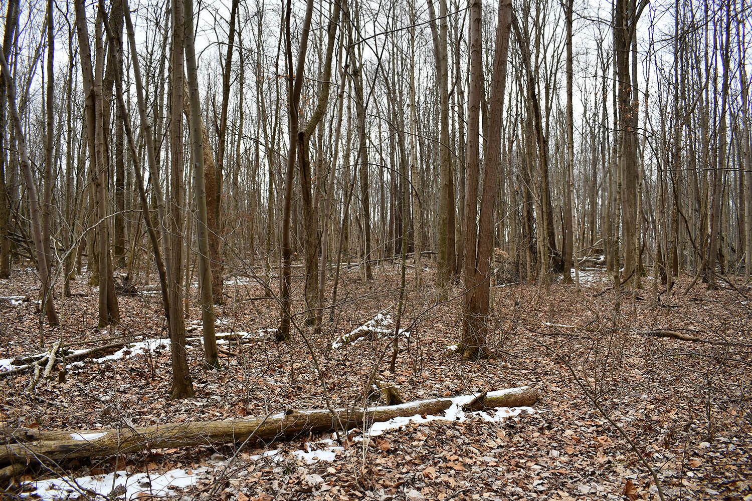 SOLD Great Farm Property With Hunting Opportunities in Blackford