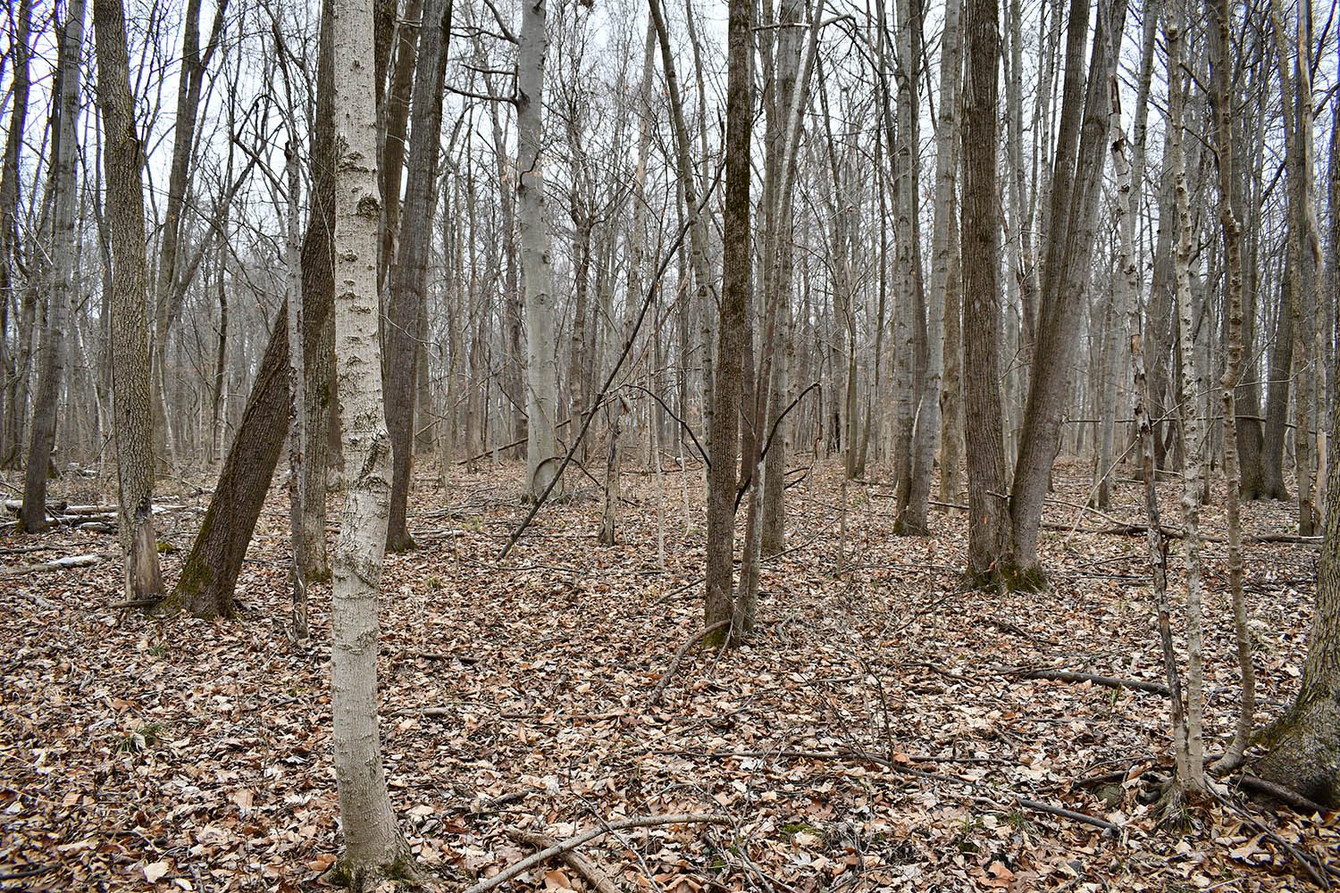 SOLD Great Farm Property With Hunting Opportunities in Blackford